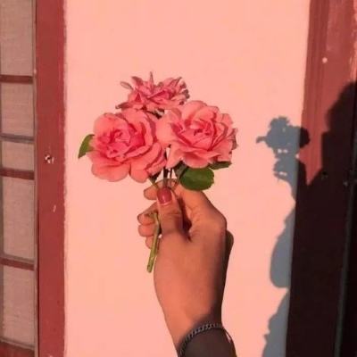 儿童十字方块官方版下载